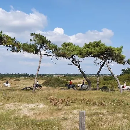 Air Marin La Bernerie-en-Retz