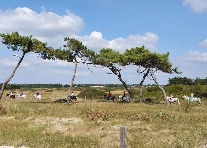 Air Marin La Bernerie-en-Retz