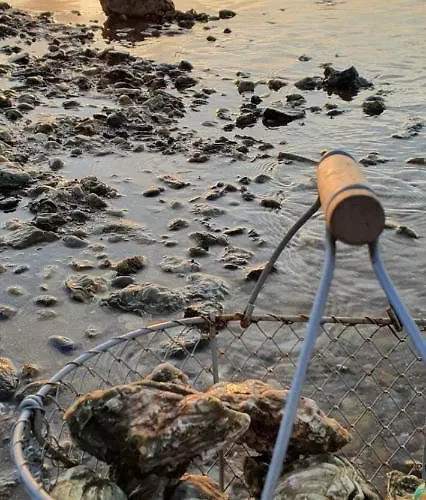 بيت للعطل Air Marin